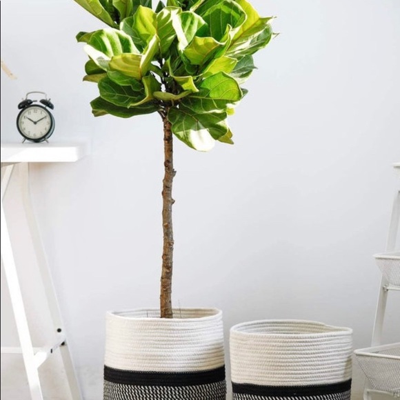 New 11x11 Plant basket; Baby Laundry organizer; - Picture 3 of 7